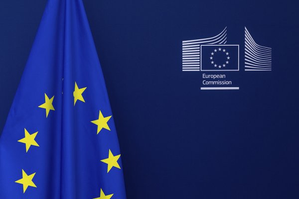 配资平台的行情 美国将推迟对欧盟征收50%关税，冯德莱恩：欧盟准备好“迅速果断”推进与美谈判